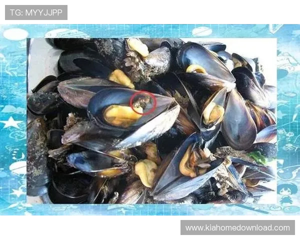 详细解析K8捕鱼图中的隐藏技巧与常见陷阱避免方法